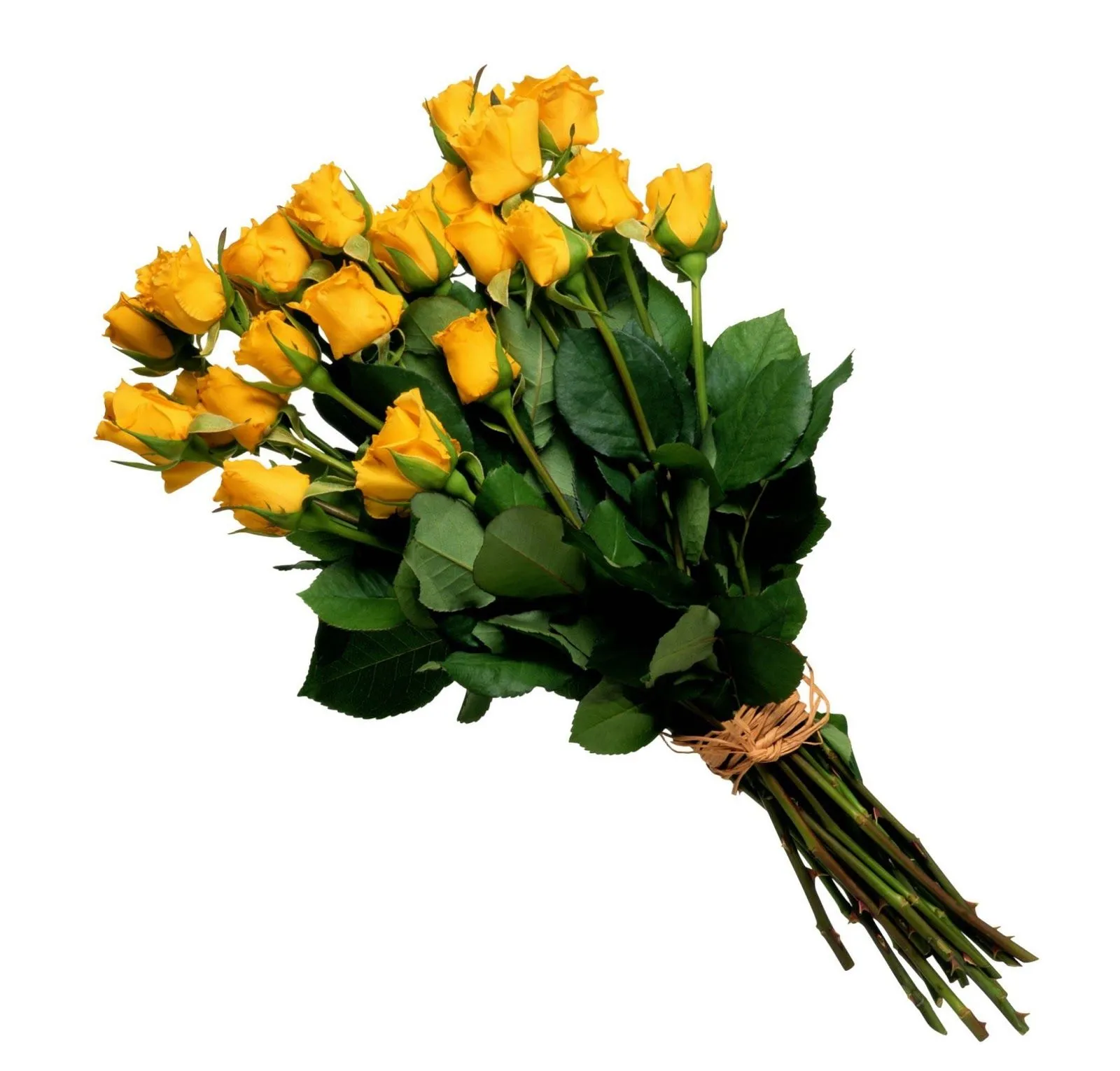 Banco de Imágenes Gratis: 10 fotos de ramos de flores para admirar ...