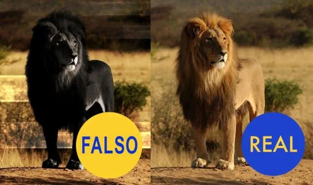 10 fotos virales más que son completamente falsas 10 fotos virales más que son completamente falsas