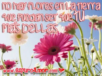10 Frases de amor con flores para dedicar a tu pareja 10 Frases de amor con flores para dedicar a tu pareja