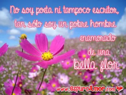 10 Frases de amor con flores para dedicar a tu pareja 10 Frases de amor con flores para dedicar a tu pareja