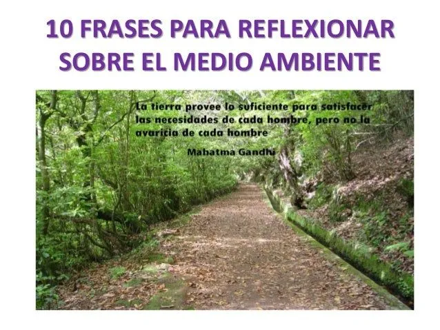 10-frases-para-reflexionar- ...