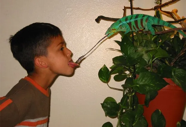 10 locas imágenes: Una insólita selección de fotos | Fotografía