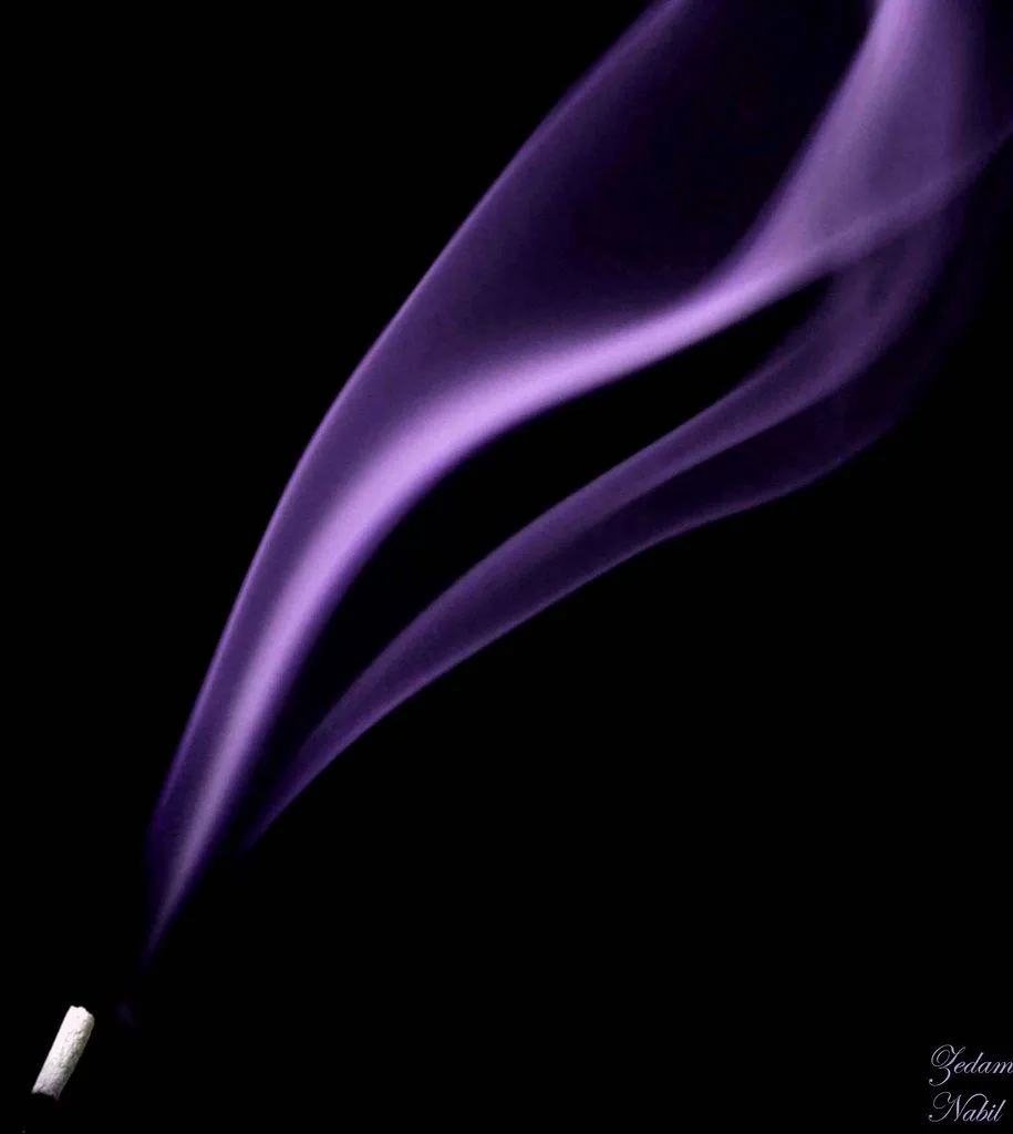10 magníficas fotografías de color morado | Expofotojuglar 10 magníficas fotografías de color morado | Expofotojuglar