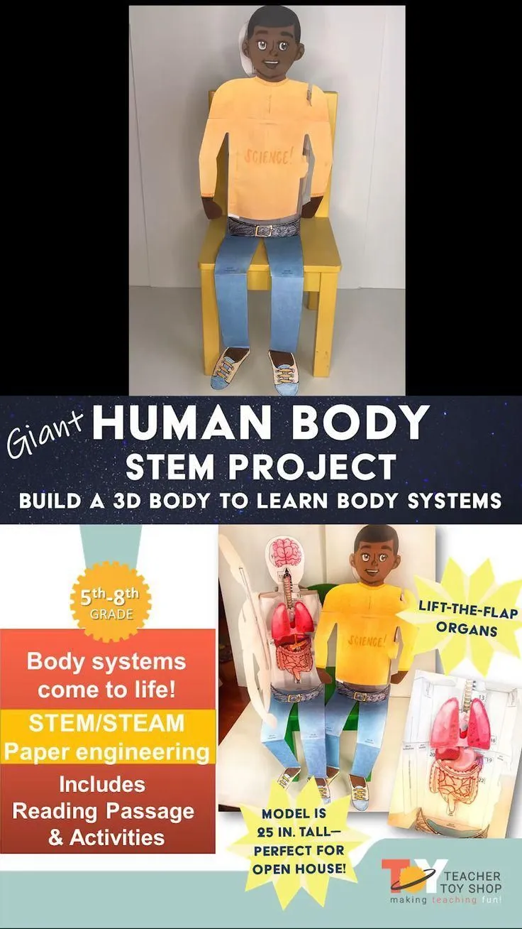 Las 10 mejores ideas e inspiración sobre esqueleto humano 3d Las 10 mejores ideas e inspiración sobre esqueleto humano 3d