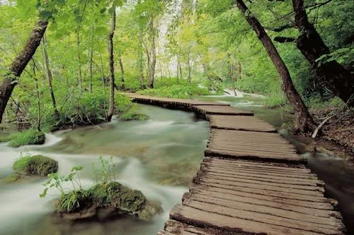 10 paisajes naturales (cada lugar incluye su nombre) | Banco de ... 10 paisajes naturales (cada lugar incluye su nombre) | Banco de ...