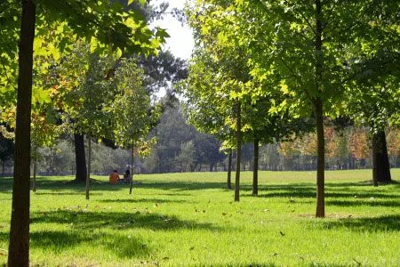 10 parques en Santiago que no debes dejar de visitar 10 parques en Santiago que no debes dejar de visitar