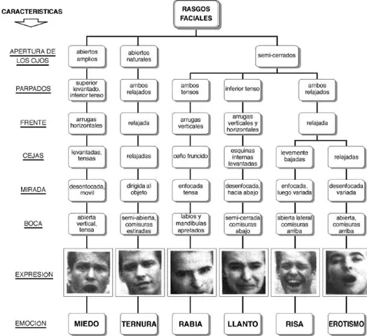 Emociones basicas caras - Imagui