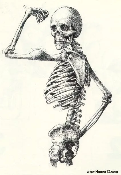 Calaveras cuerpo completo - Imagui