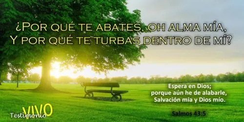 10 Versículos bíblicos que hablan de esperar en Dios - Tener ...