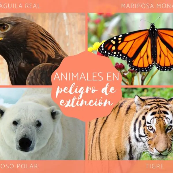 100 ANIMALES en PELIGRO de EXTINCIÓN en el mundo - (2020)
