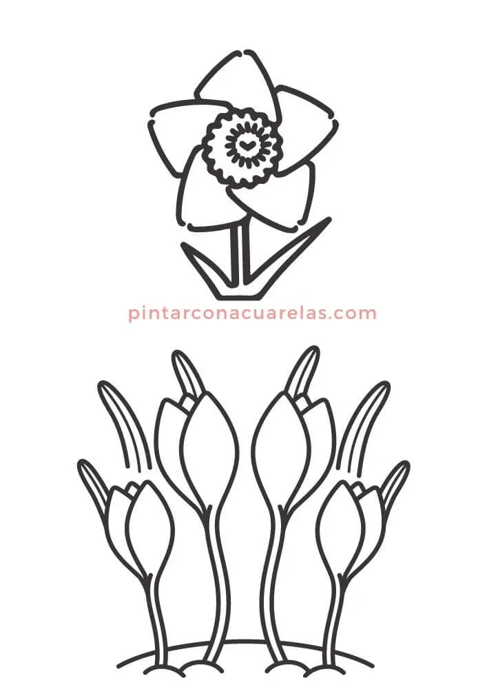 ▷【 100 Dibujos fáciles en PDF gratis, para dibujar y relajarte 】 - Pintar Con Acuarelas ▷【 100 Dibujos fáciles en PDF gratis, para dibujar y relajarte 】 - Pintar Con Acuarelas
