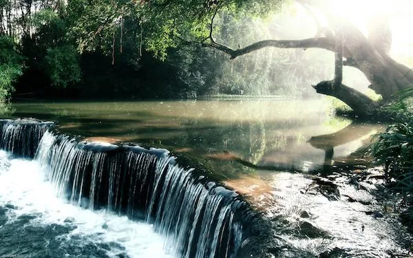 Más de 100 fondos de pantalla sobre naturaleza para tu Mac Más de 100 fondos de pantalla sobre naturaleza para tu Mac