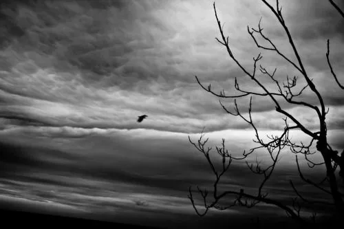 100 fotos en blanco y negro (II) - Taringa! 100 fotos en blanco y negro (II) - Taringa!