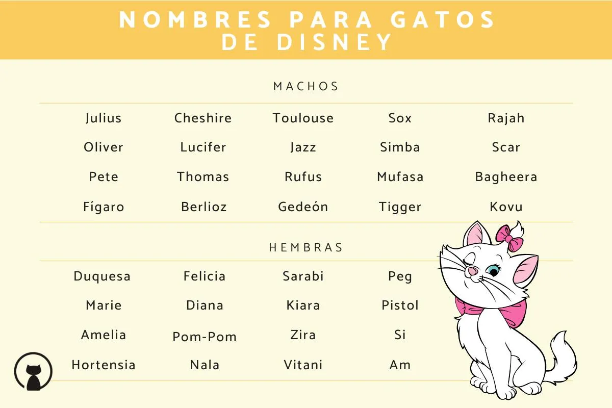 100 Nombres para gatos de Disney - ¡Machos y hembras! 100 Nombres para gatos de Disney - ¡Machos y hembras!