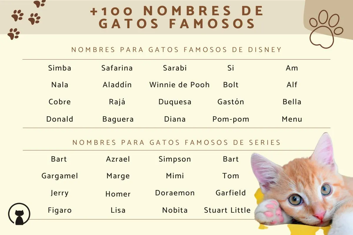 100 nombres de GATOS FAMOSOS - ¡Ideas originales que no conocías! 100 nombres de GATOS FAMOSOS - ¡Ideas originales que no conocías!