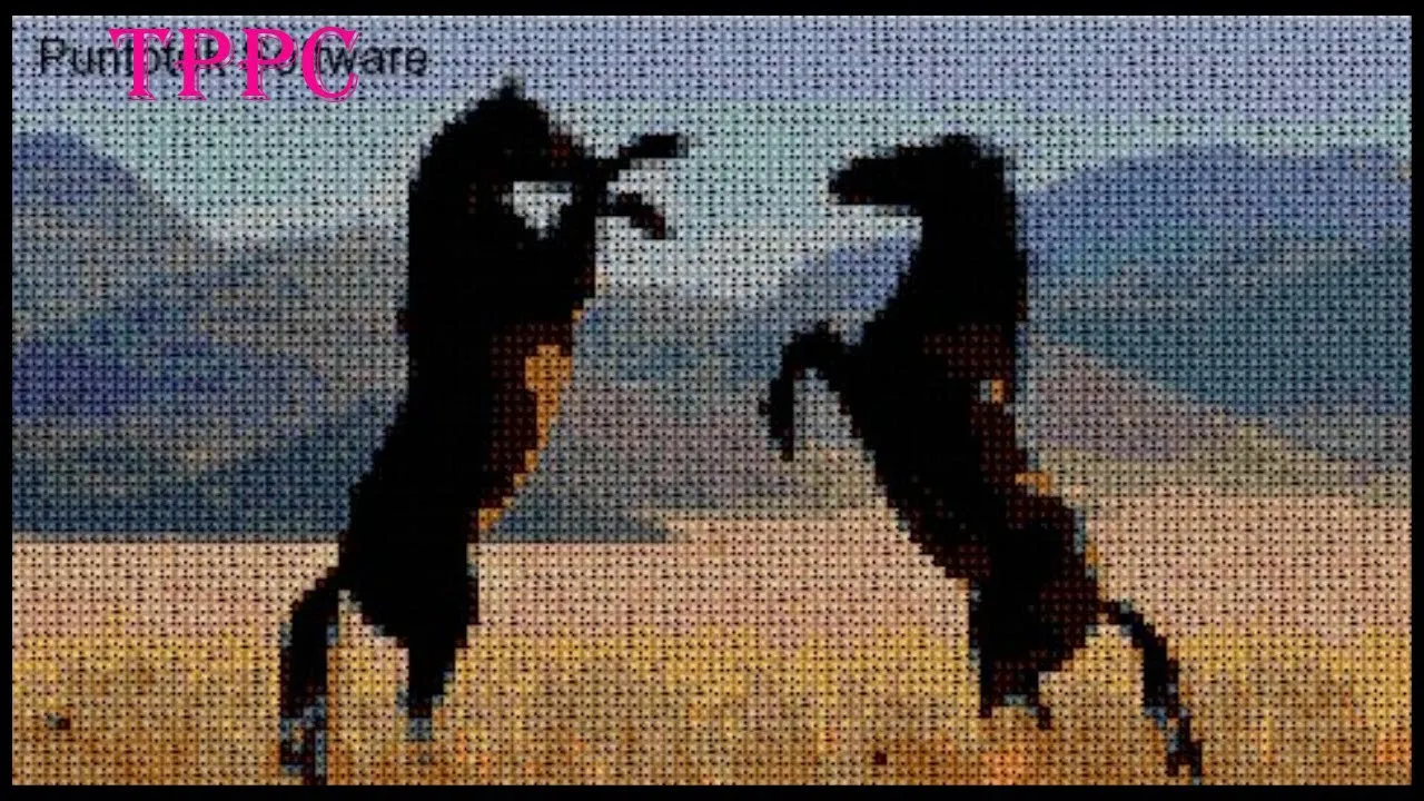 100 Patrones Caballos | Patrones exclusivos punto de cruz - YouTube 100 Patrones Caballos | Patrones exclusivos punto de cruz - YouTube