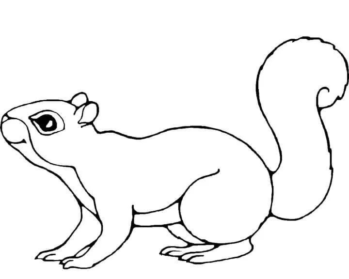 1000 Dibujos de ANIMALES 】Para colorear e imprimir 1000 Dibujos de ANIMALES 】Para colorear e imprimir