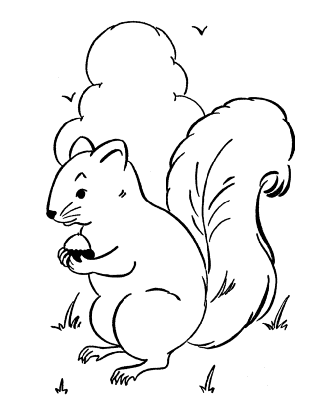 1000 Dibujos de ANIMALES 】Para colorear e imprimir 1000 Dibujos de ANIMALES 】Para colorear e imprimir