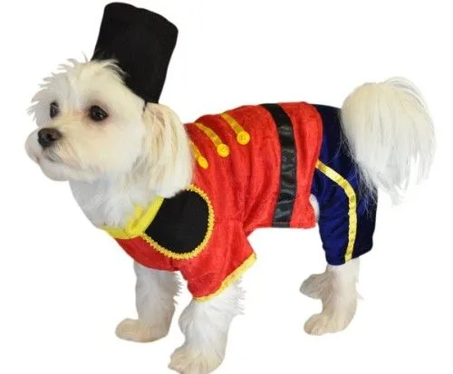 101 mascotas | Consejos para cuidar a tu mascota: 25 Disfraces ... 101 mascotas | Consejos para cuidar a tu mascota: 25 Disfraces ...