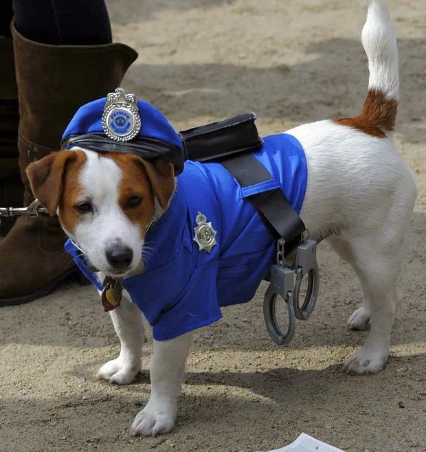 101 mascotas : Disfraces de Policia para perros 101 mascotas : Disfraces de Policia para perros