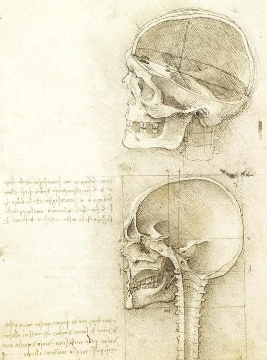 LEONARDO DA VINCI: "ANATOMISTA". DIBUJOS ARTÍSTICOS Y CIENTÍFICOS ... LEONARDO DA VINCI: "ANATOMISTA". DIBUJOS ARTÍSTICOS Y CIENTÍFICOS ...