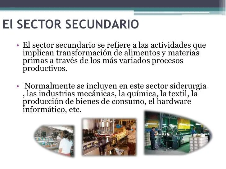 11-sectores-primario- ...