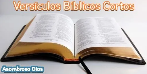 1160) Los versículos más cortos de la Biblia ~ Asombroso Dios 1160) Los versículos más cortos de la Biblia ~ Asombroso Dios