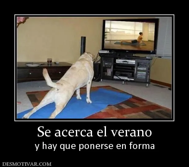 119861_se-acerca-el-verano.jpg