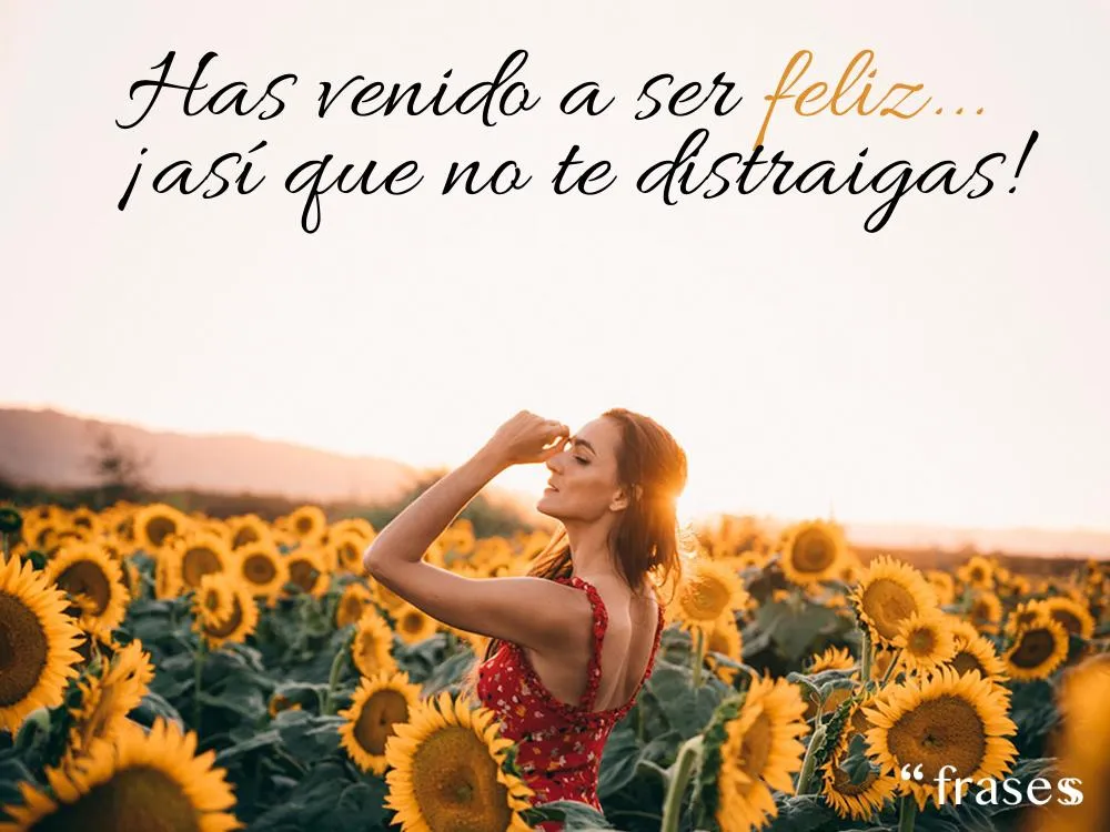 120 FRASES para tu PERFIL de WHATSAPP - ¡Cortas y Divertidas! 120 FRASES para tu PERFIL de WHATSAPP - ¡Cortas y Divertidas!