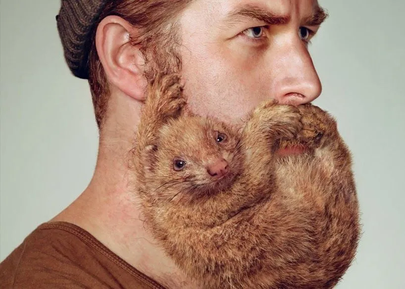 Barbas bestiales totalmente de moda. | Quiero más diseño