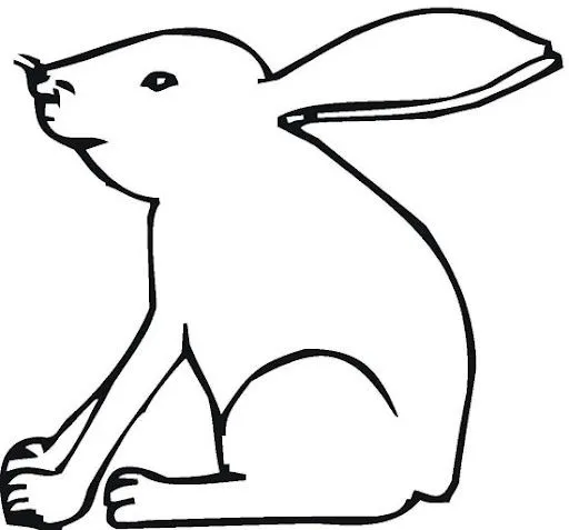 1266374576_Bunny_6.jpg?imgmax=640