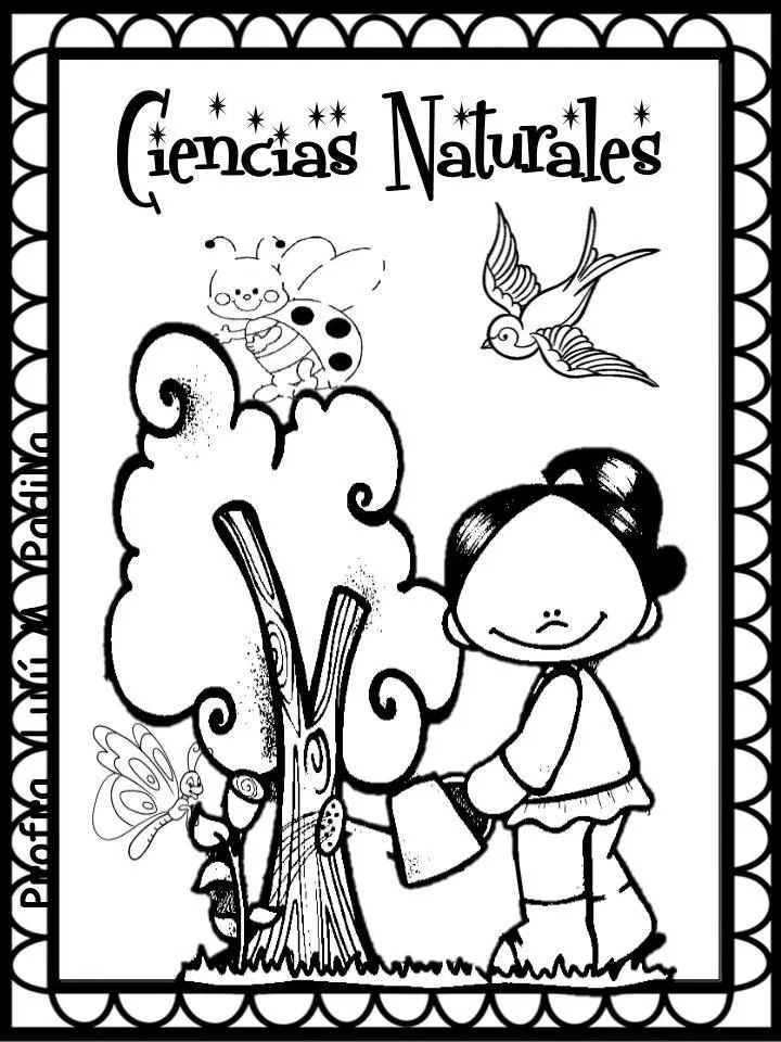 13 ideas de PODER EJECUTIVO LEGISLATIVO Y JUDICIAL | dibujo de globo aerostatico, poder ejecutivo, caratulas de ciencias naturales 13 ideas de PODER EJECUTIVO LEGISLATIVO Y JUDICIAL | dibujo de globo aerostatico, poder ejecutivo, caratulas de ciencias naturales