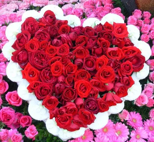14 de febrero Día del Amor y la Amistad? | Jasanone's Weblog 14 de febrero Día del Amor y la Amistad? | Jasanone's Weblog