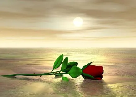 dia 14 de febrero dia de amor y la amistad | m2drgthkuhy