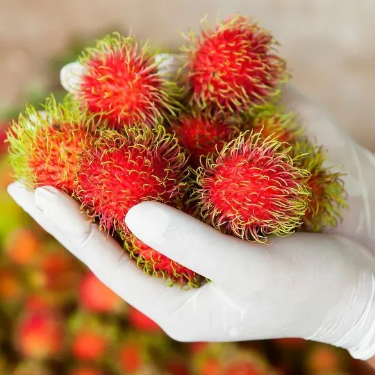 14 Frutas Con R | SharePostt