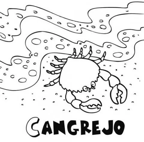 14086-4-dibujos-cangrejo-en-el ...