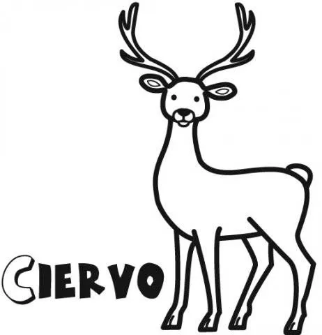 14302-4-dibujos-ciervo.jpg