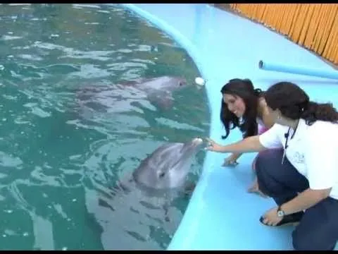 15 AÑOS, Kino, Quinceañero Filmación HD, Delfines Fotos ANGEL ... 15 AÑOS, Kino, Quinceañero Filmación HD, Delfines Fotos ANGEL ...