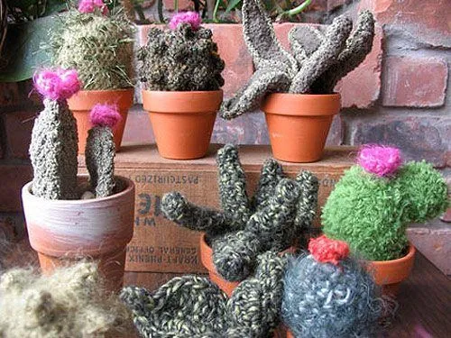 15 Crochet Cacti for the Desert Lover at Heart