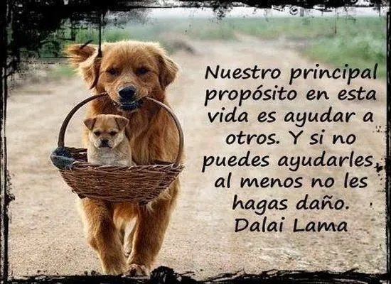 15 frases de superacion cortas para dedicar | Frases de felicidad 15 frases de superacion cortas para dedicar | Frases de felicidad