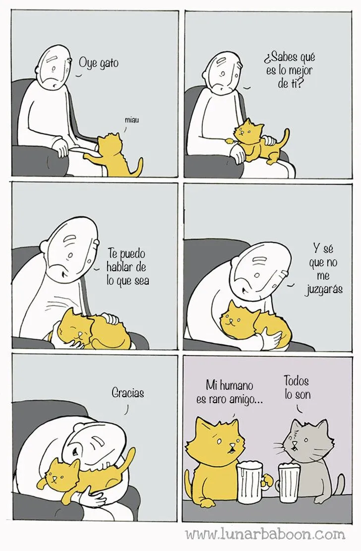 15 graciosos comics que resumen cómo es la vida con un gato | Upsocl 15 graciosos comics que resumen cómo es la vida con un gato | Upsocl