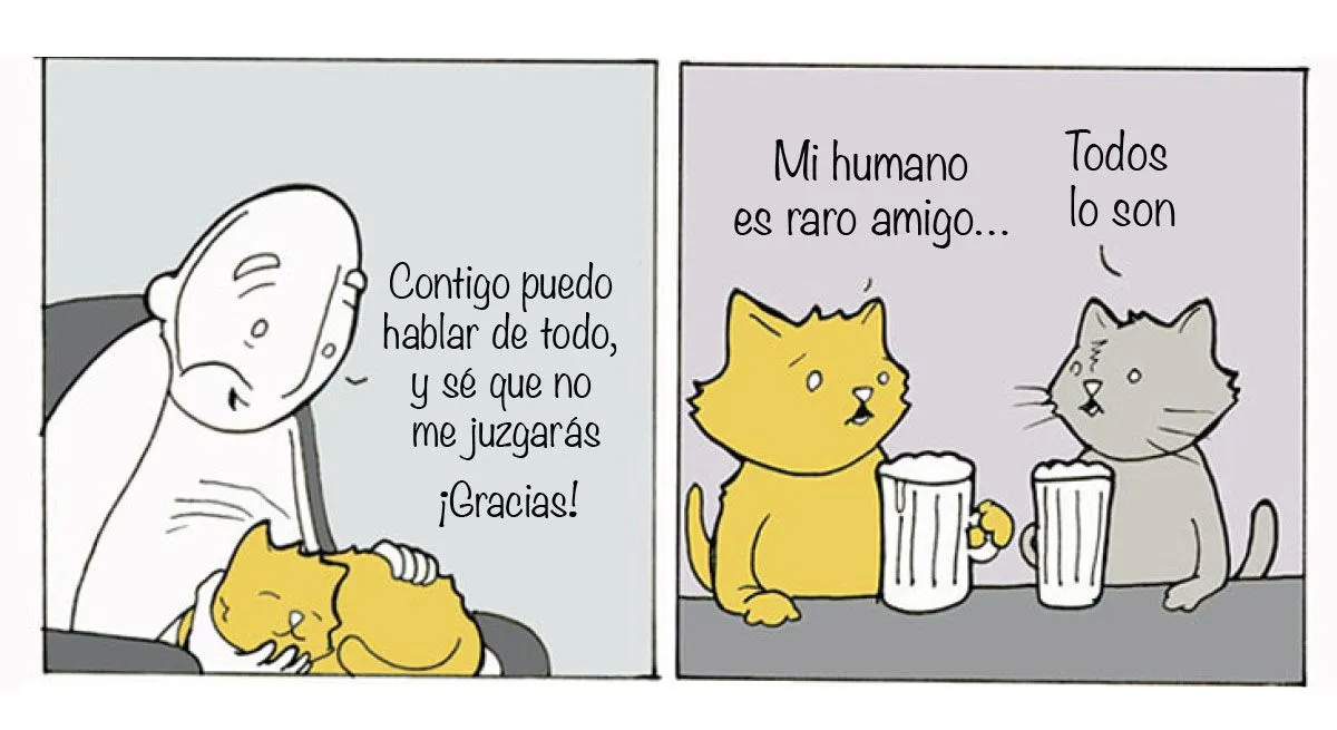 15 graciosos comics que resumen cómo es la vida con un gato | Upsocl 15 graciosos comics que resumen cómo es la vida con un gato | Upsocl