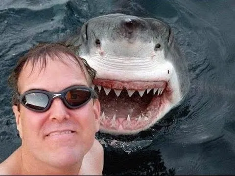 Las 15 mejores Selfies del Mundo. La numero 7 Te sorprendera ...