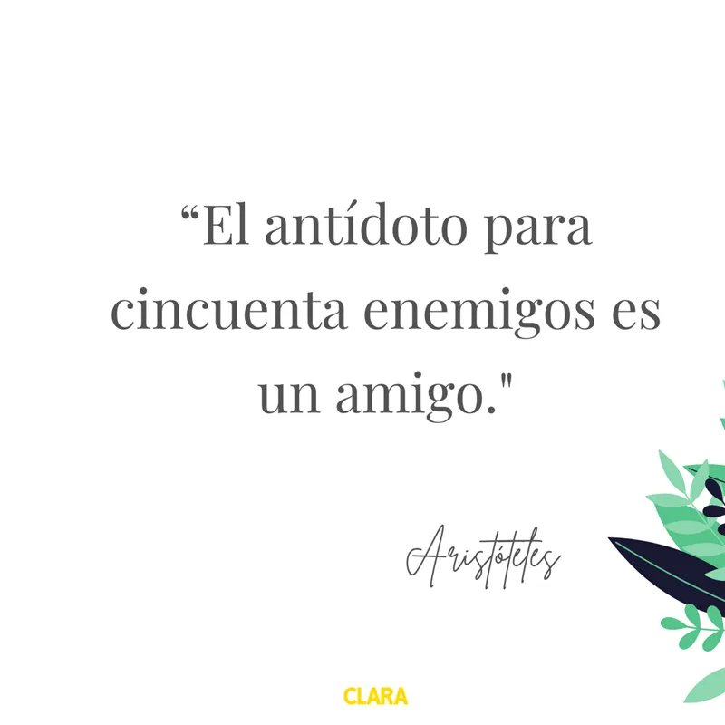 150 frases de amistad para demostrar a tus amigos que los quieres 150 frases de amistad para demostrar a tus amigos que los quieres
