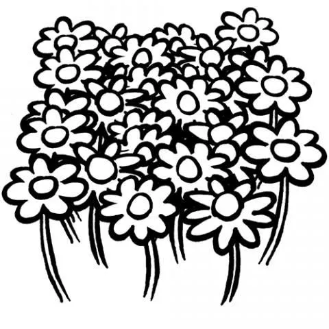 15566-4-dibujos-campo-de- ...