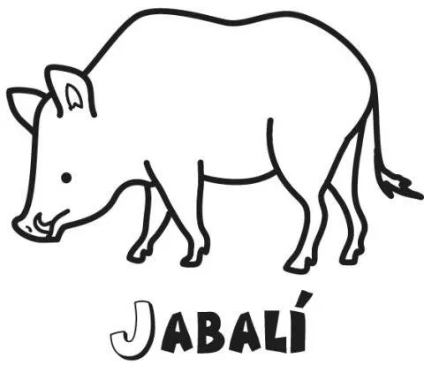 15580-4-dibujos-jabali.jpg