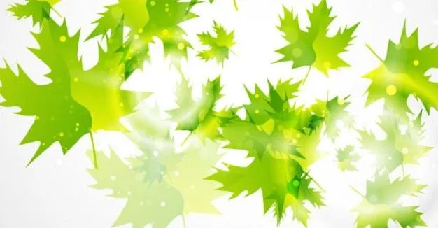 158 Fondo Verde Hoja | Descargar Vectores gratis 158 Fondo Verde Hoja | Descargar Vectores gratis
