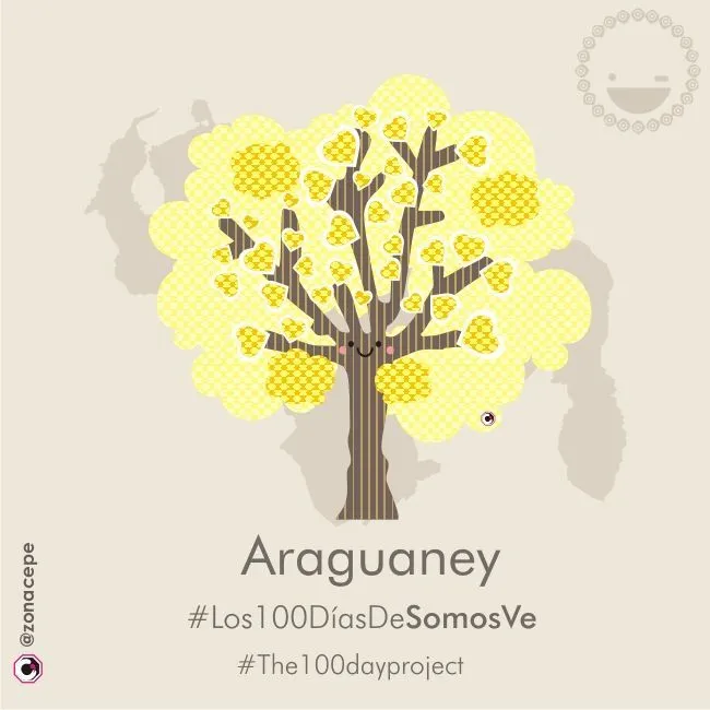 16 de 100. 16 de 100.