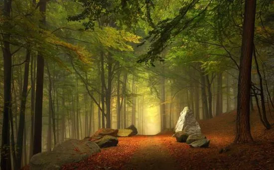 16 fondos de pantalla con impresionantes bosques | Recursos Gratis ... 16 fondos de pantalla con impresionantes bosques | Recursos Gratis ...