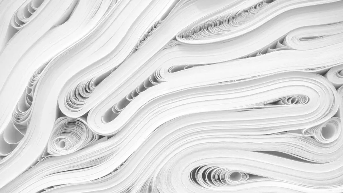 Los 16 tipos de papel: características y funciones Los 16 tipos de papel: características y funciones